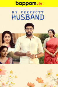 My-Perfect-Husband-Telugu-ibomma telugu movies new 2024 2025 ibommaone bappam tv